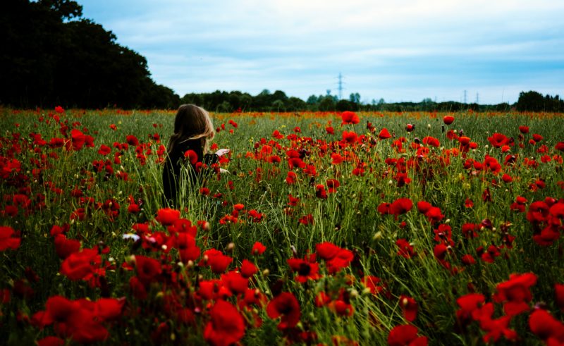 Le bonheur est-il une fleur ?