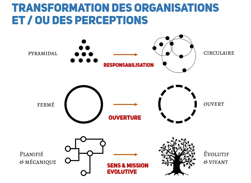 L’innovation pour les nuls #4 – Mission